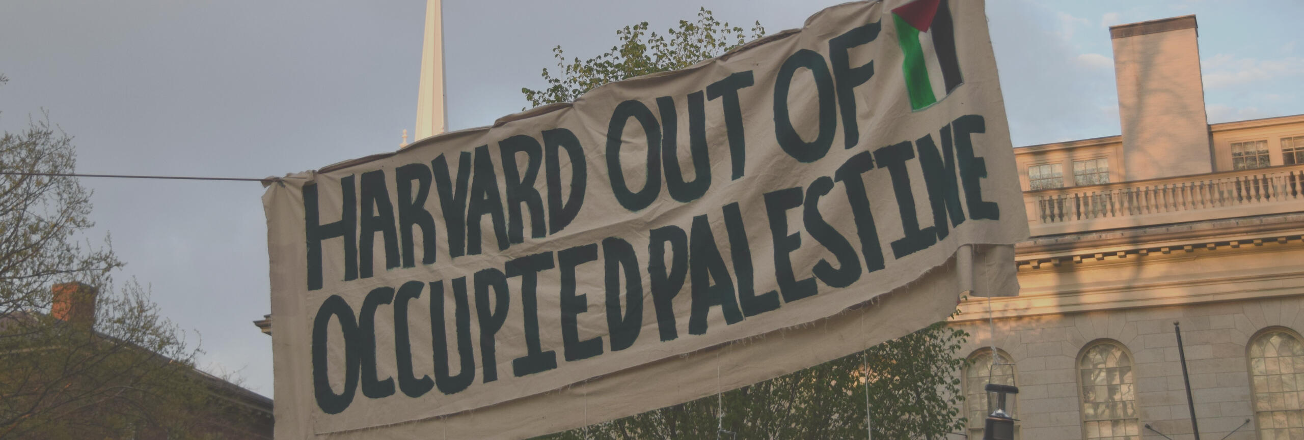 Image Credit: Nick Kowalske