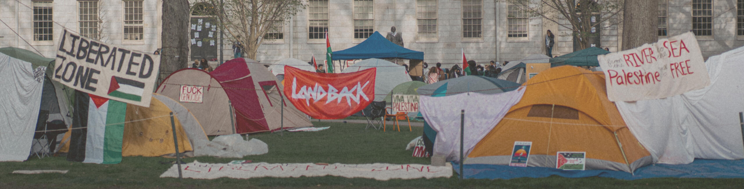 Image Credit: Sal Suri